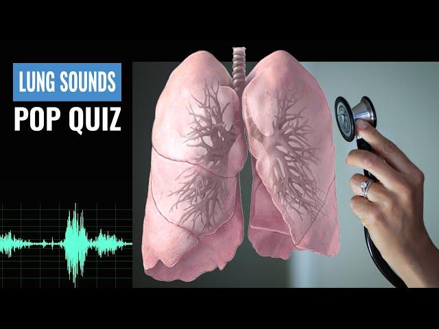Name that Lung Sound? Lung Sound Quiz | NCLEX REVIEW