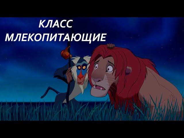 Урок "Класс Млекопитающие" - ЦТ, ЕГЭ, ЗНО