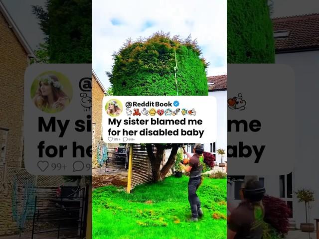 My Sister Blamed Me For Her Disabled Baby  Reddit Stories