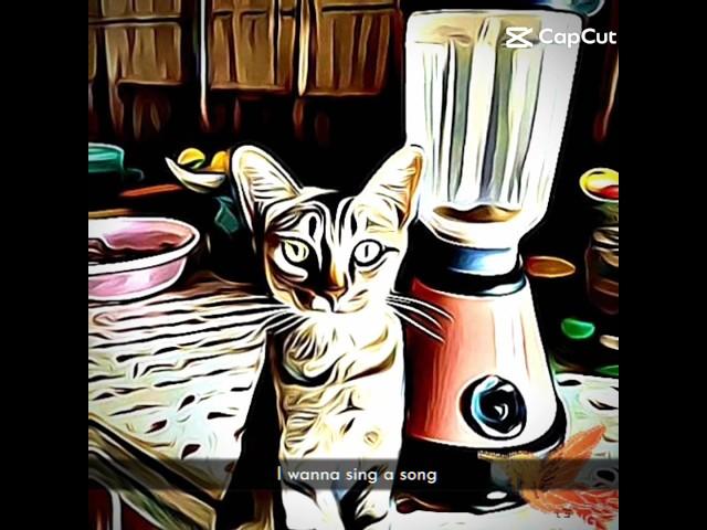 Cat in blender