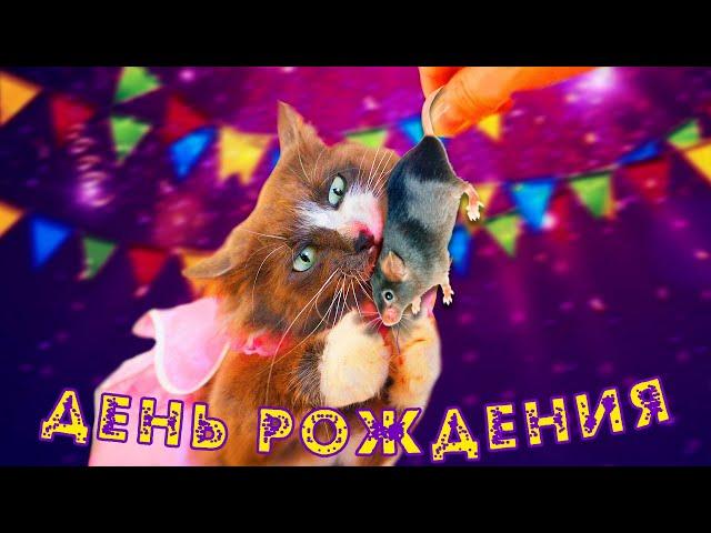 1000 МЫШЕЙ ДЛЯ КИСЫ АЛИСЫ! ТОРТ ИЗ КРЫС НА ДЕНЬ РОЖДЕНИЯ КОТОМОНСТРА! ПОДАРКИ ОТ ПИТОМЦЕВ НА ДР