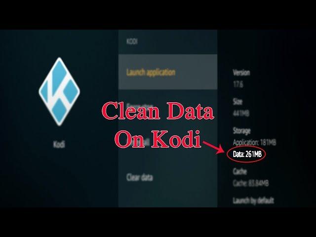 Clean Data on Kodi (to free up memory)