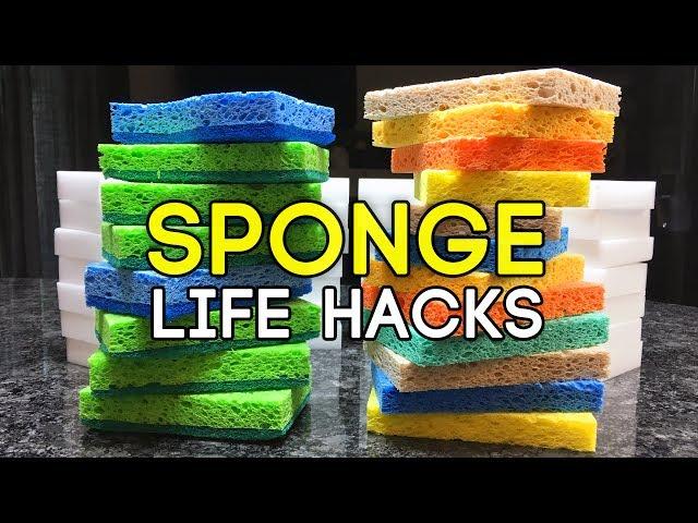 Clever Sponge Life Hacks You Need To Know!