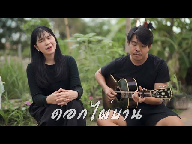 ดอกไผ่บาน - ออร์แกน Cover