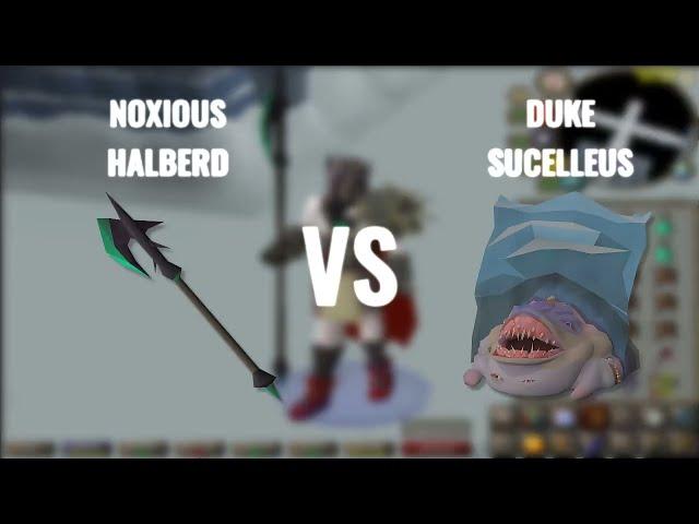 DUKE SUCELLUS VS NOXIOUS HALBERD | MAX HIT 61 !!!