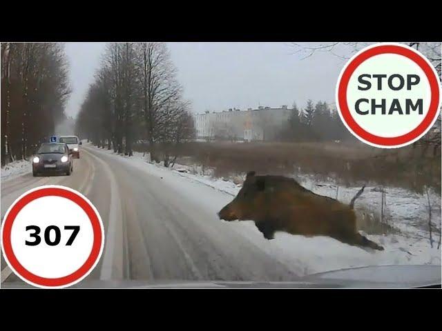 Stop Cham #307 - Niebezpieczne i chamskie sytuacje na drogach