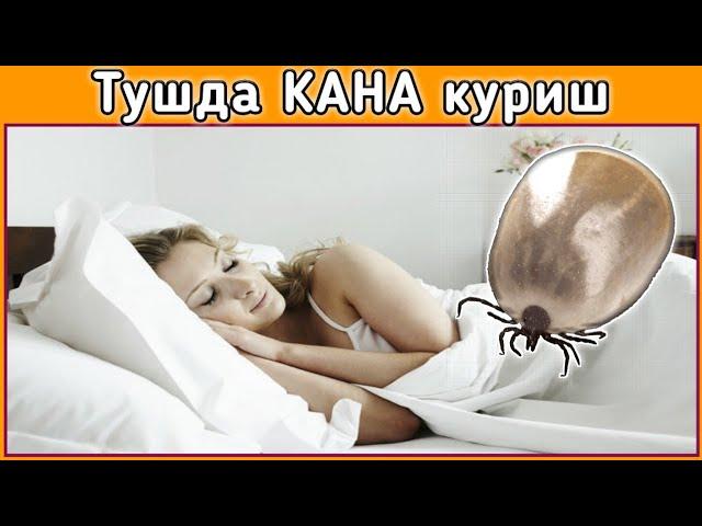 Тушда КАНА куриш туш таьбири || Tushda KANA ko'rish tush tabiri