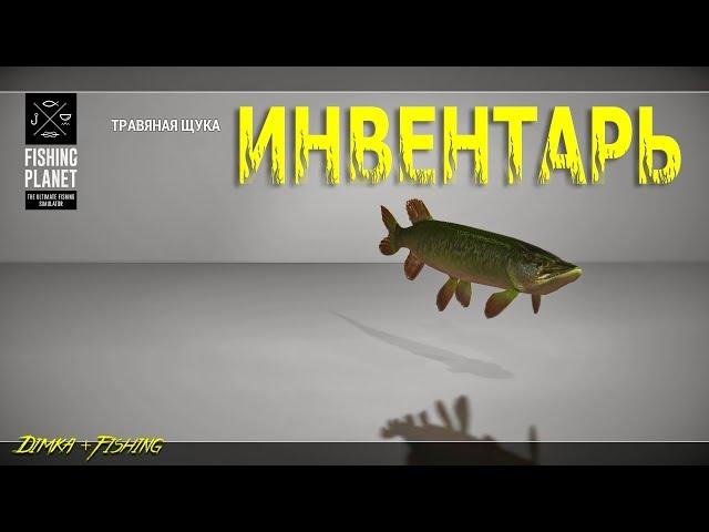 Fishing Planet. Настройка инвентаря...