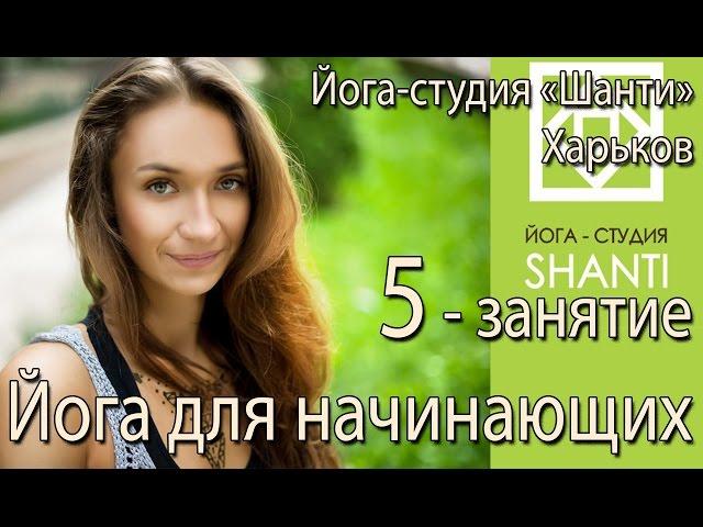 Йога для начинающих пятое занятие. Йога в Харькове