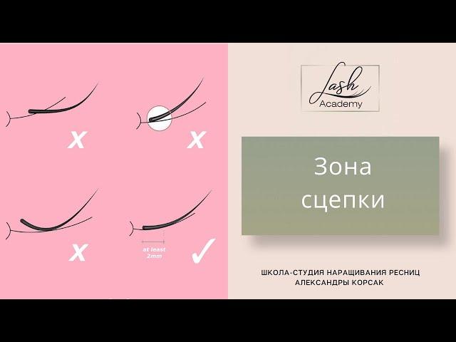 Урок 3. Как правильно приклеивать ресницы. Зона сцепки. Почему ресницы ОСЫПАЮТСЯ