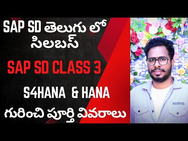 S4HANA SD Class 3 in telugu-SAP SD Course in telugu-SAP SD In Telugu-SAP SD Module in Telugu-Chanu