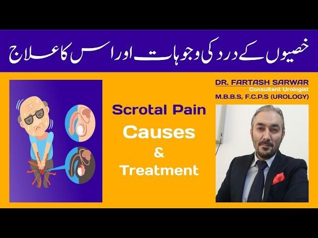 Scrotal Pain Causes And Its Treatment By Dr. Fartash Sarwar | Scrotal Pain | Urdu/Hindi