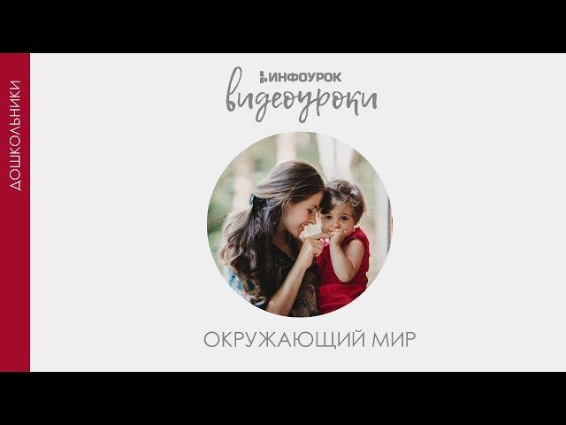 Город. Деревня | Дошкольники | Окружающий мир #3 | Инфоурок