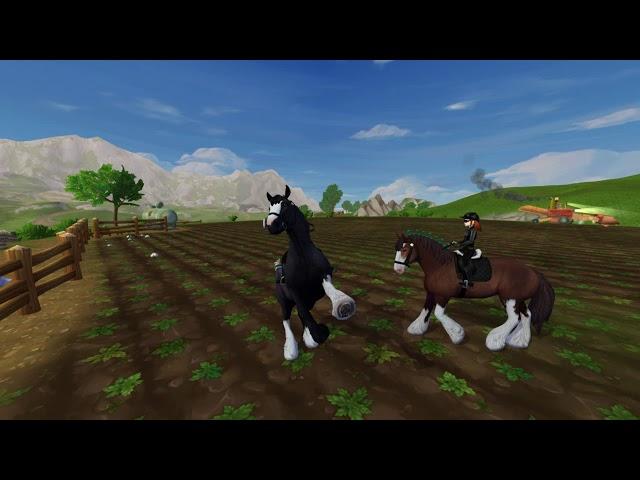 Клип Star Stable "НАДА ПОЛЕ ПРИТОПТАТЬ!!" || Star Stable || Toothless