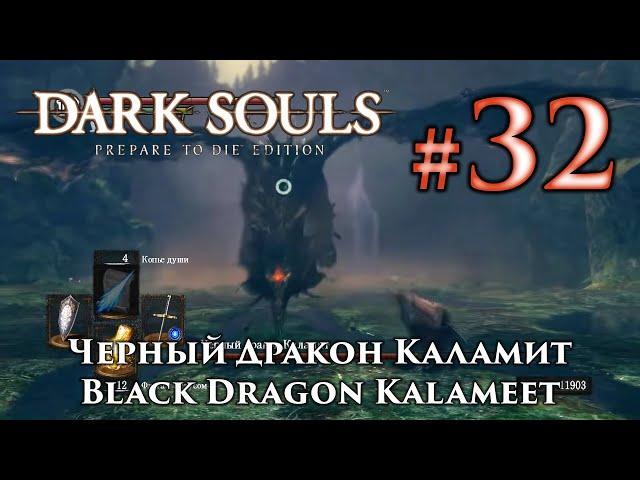 Dark Souls: Black Dragon Kalameet - the last severed tail in the game