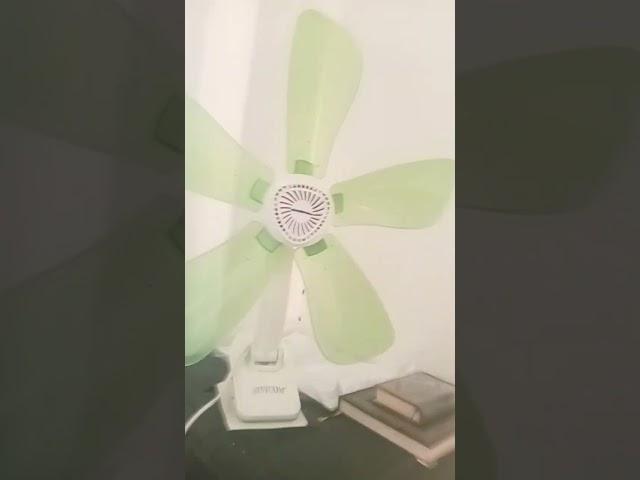 3 ceiling fans