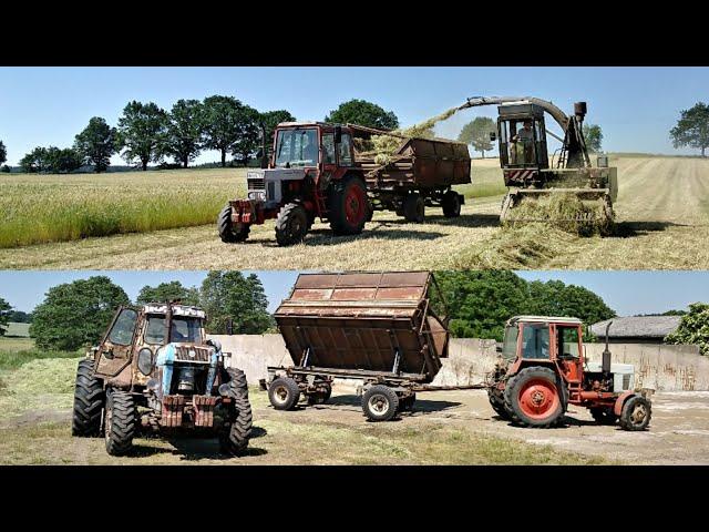 Fortschritt E 281-E, ZT 303 und Belarus MTS 82 in der Grünfutterernte