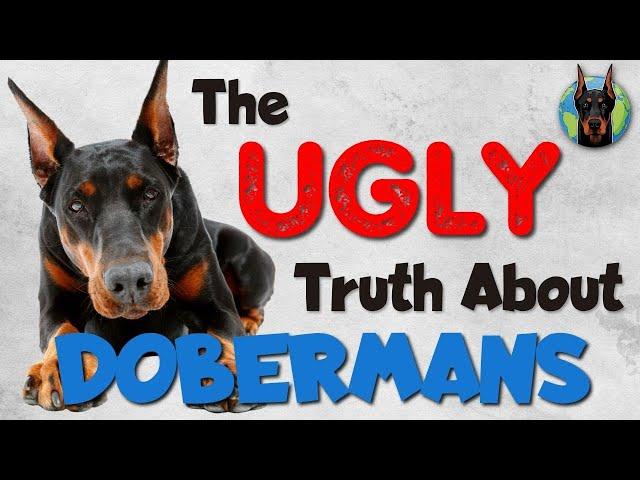 Doberman Ownership Exposed: 5 Annoying Habits of These Dogs!