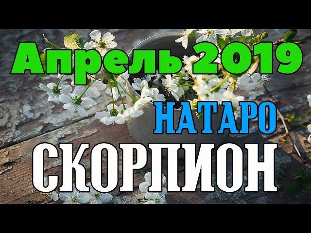 СКОРПИОН - таро прогноз апрель 2019 года НАТАРО.