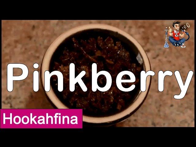 Hookahfina Pinkberry Shisha Review