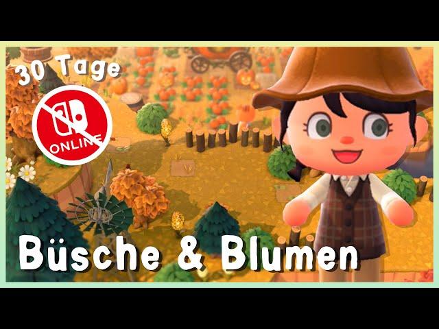 Tag 30 - Ich gestalte eine Insel ohne Nintendo Switch Online | Part 1