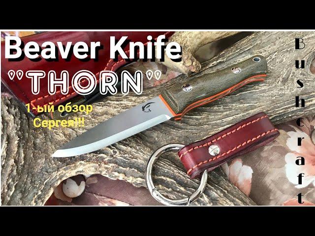 BEAVER KNIFE - THORN. Что в нём такого?! Познакомимся с БОБРОМ