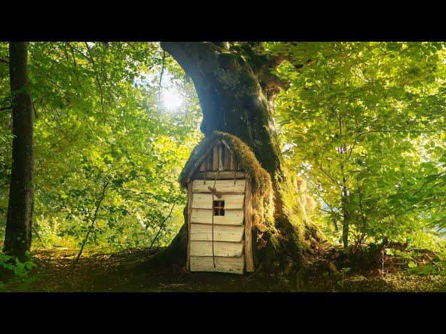 Building a warm secret Shelter inside a large OAK. Clay oven