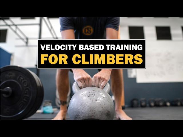 Why Use Velocity Based Training?