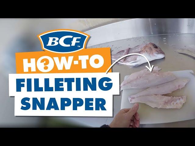 How to Fillet a Snapper - BCF How To