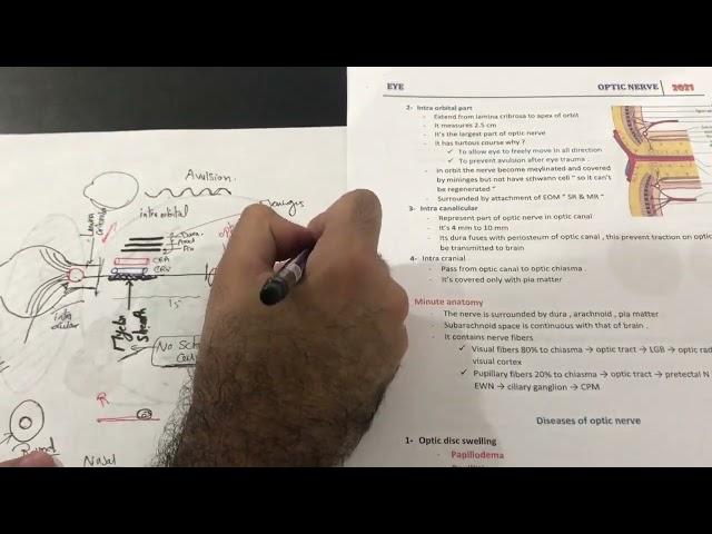 optic nerve revision 1 - dr Ahmed Ashraf