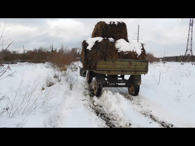 мтз80 вывоз сена на цепях