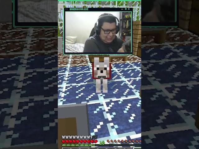 Presentando a mi perro con su contraparte de minecraft #shorts