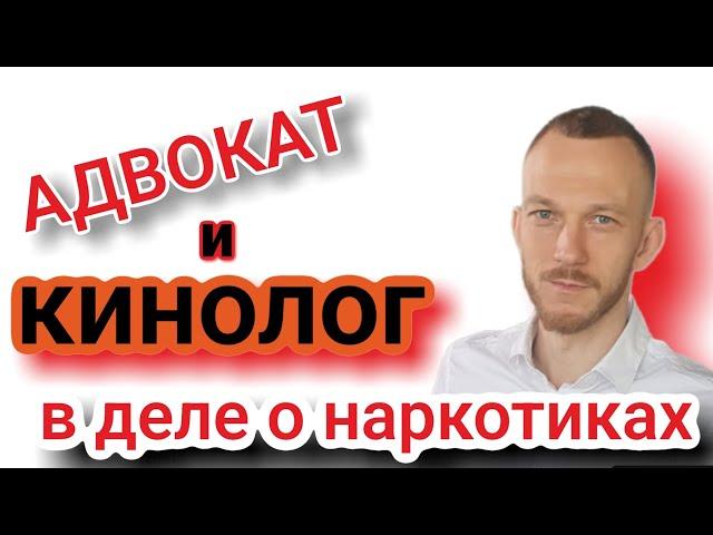 Адвокат и Кинолог в деле о наркотиках.