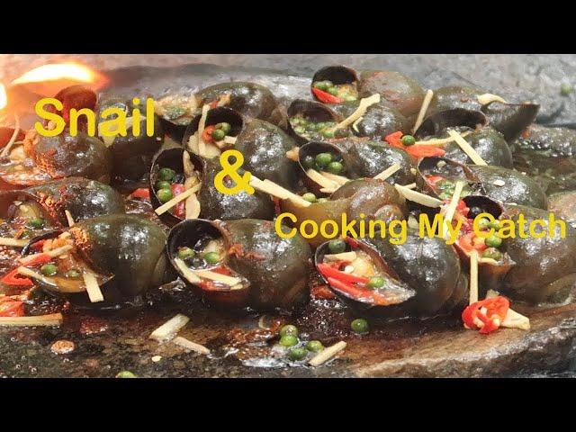 Snail & Cooking My Catch | How to live in the forest | Survival skills