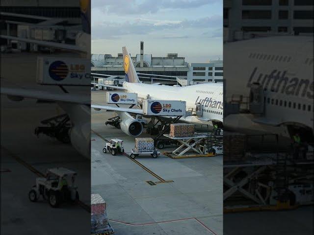 Lufthansa Boeing 747 Loading in Rio De Janeiro TIMELAPSE #shorts