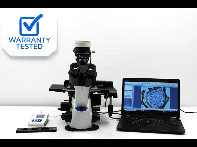 Olympus CKX53 LED Phase Contrast Fluorescence Inverted Microscope (New Filters)  [BOSTONIND] - 59547