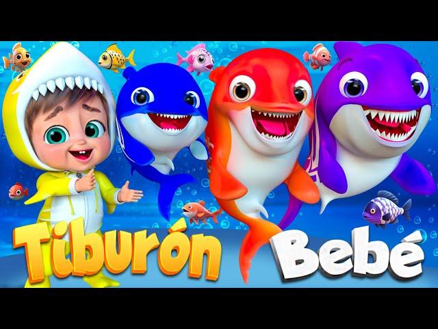 Bebé Tiburón Du Ru Du Ru  - Canciones para bebés - Rimas infantiles y canciones infantiles