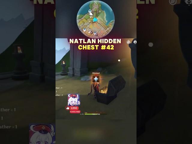 Natlan Hidden Chest #42 #genshinimpact