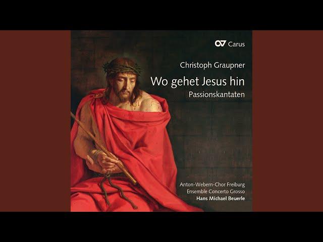 Graupner: Mein Gott, warum hast du mich verlassen, GWV 1127/31 - V. Ich weiß, o Jesu, all dein...