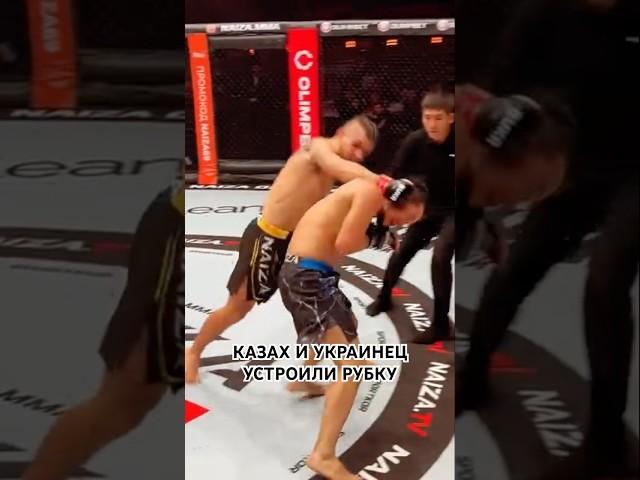 Казах и Украинец устроили рубку#mma #ufc #файтинг #naiza #nfc #бои #бокс