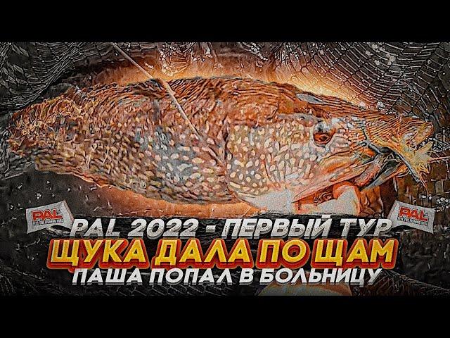 ЩУКА ДАЛА ПО ЩАМ. Пашу отвезли В ТРАВМПУНКТ. PAL 2022, 1 ТУР