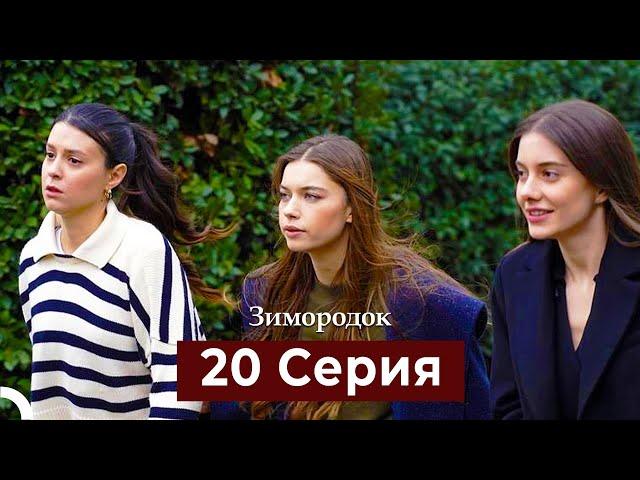 Зимородок 20 Cерия (Русский дубляж)