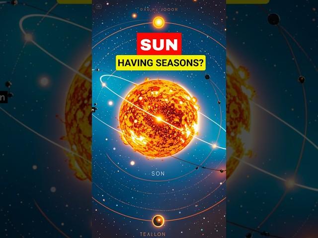 Does Sun have Seasons? #shorts #sun #seasons #autumn #tilt #science