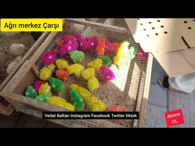 Ağrı merkez Çarşı video videosu Ağrı şehri sokak cadde video