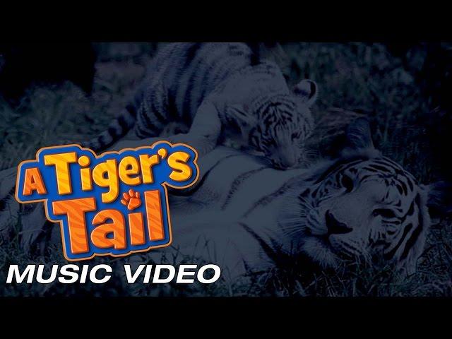 A Tiger's Tail | Music Video | Watching Over You by Kari Kimmel