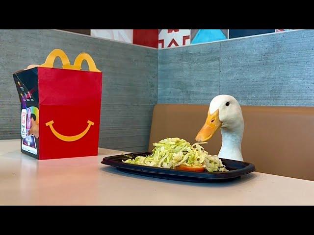 I took my duck to the World’s Largest McDonalds 