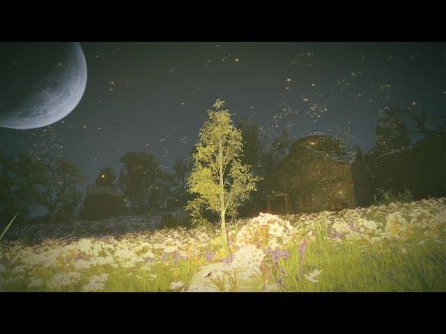 [Relaxing Music] Elden Ring DLC: Shaman Village / 巫子の村 - 1 Hour Ambient BGM