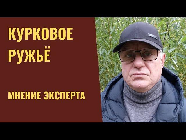 КУРКОВОЕ РУЖЬЁ (мнение эксперта)