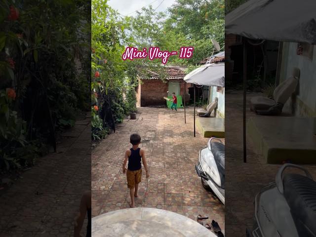 Mini Vlog - 115 #minivlog #marathivlog #dailyvlog #vlog #shorts #viralvideo #trending #shortvideo