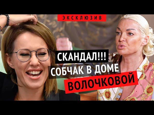 АНАСТАСИЯ ВОЛОЧКОВА ВОЙНА С КСЕНИЕЙ СОБЧАК! ЭСКОРТ БАЛЕРИН, ЧЕСТНО О ПРОФЕССИИ И МУЖЧИНАХ #интервью